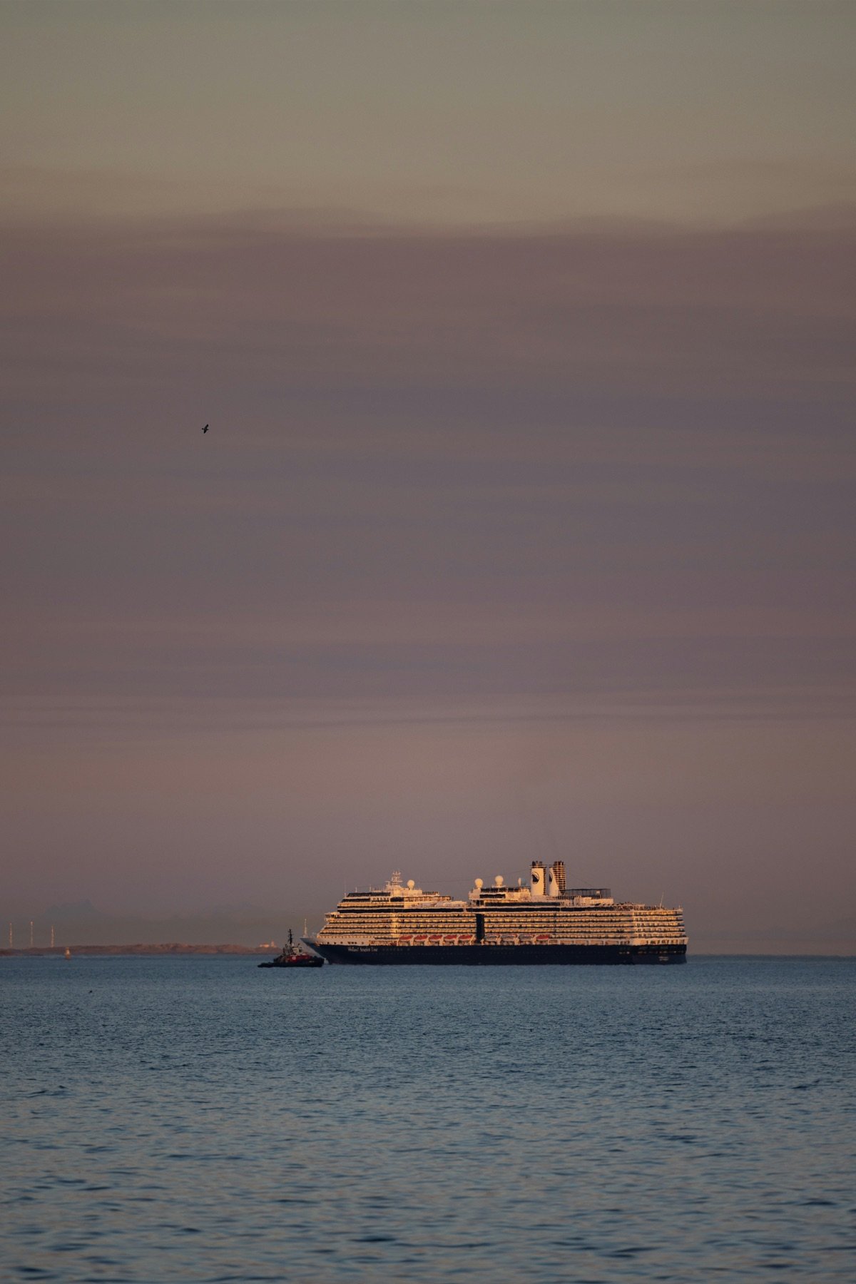 Cruise ship sailing at sunset
